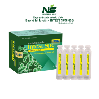 Bào tử lợi khuẩn INTEST SPO NSG chứa 5 tỷ lợi khuẩn, tốt cho đường ruột của bạn